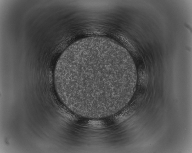 X0000097660457200803280954