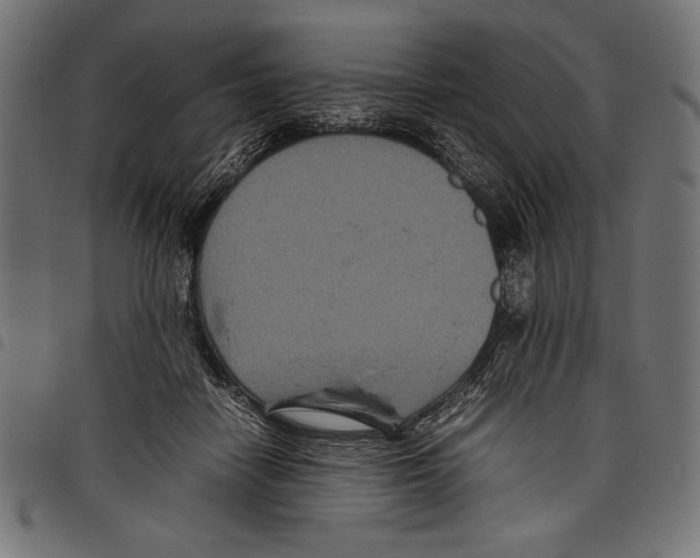 X0000097660458200803280954
