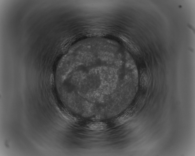 X0000097660459200803280954