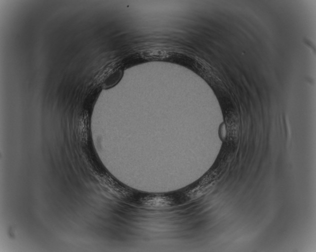 X0000097660460200803280954