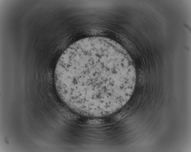 X0000097660461200803280954