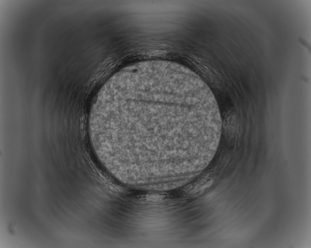 X0000097660462200803280954