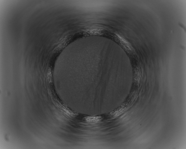 X0000097660465200803280955