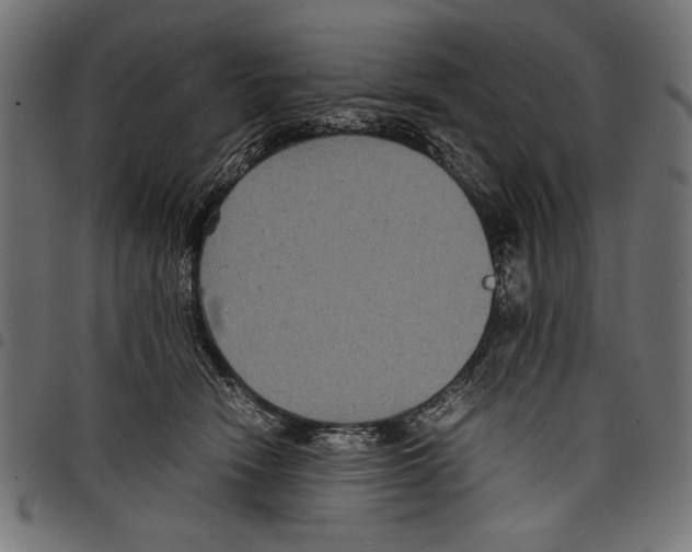 X0000097660466200803280955