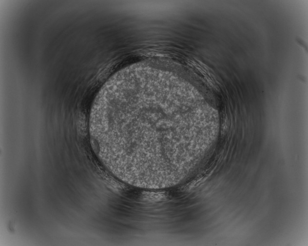 X0000097660469200803280955
