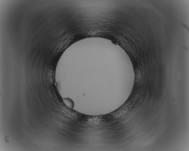 X0000097660470200803280955