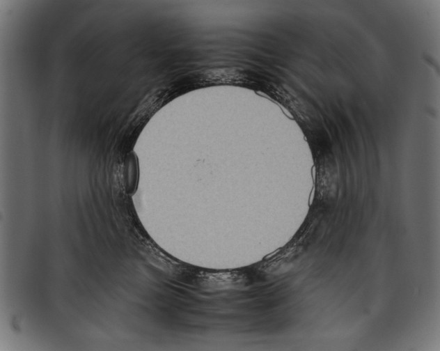 X0000097660473200803280955