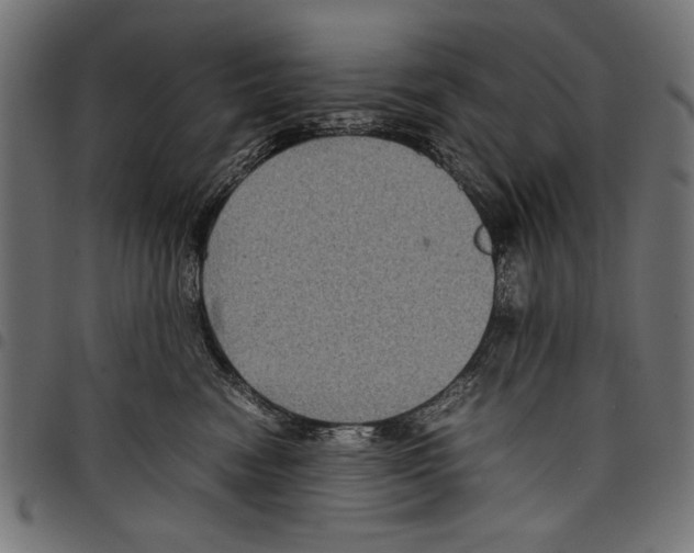 X0000097660474200803280955