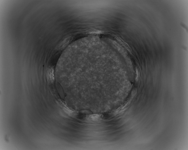 X0000097660479200803280955