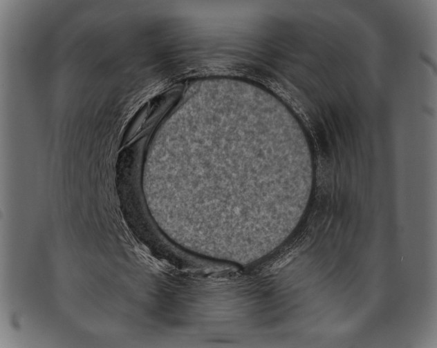 X0000097660481200803280954