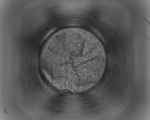 X0000097660482200803280954