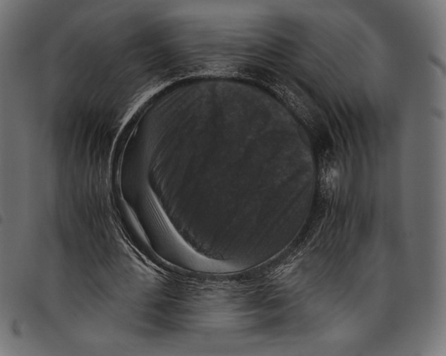 X0000097660484200803280954