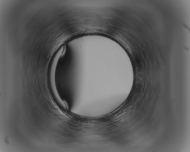 X0000097660485200803280954