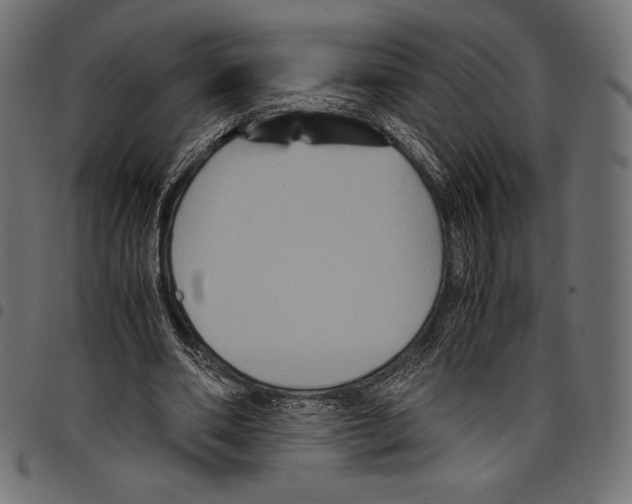 X0000097660486200803280954