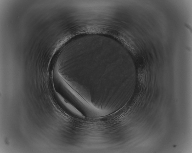 X0000097660488200803280954