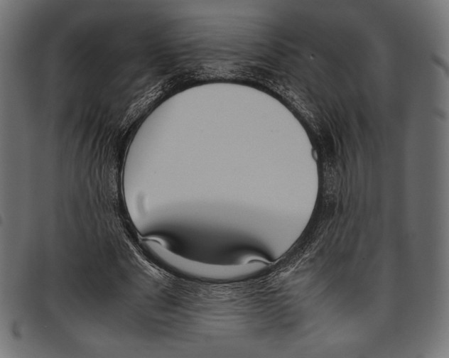 X0000097660489200803280954