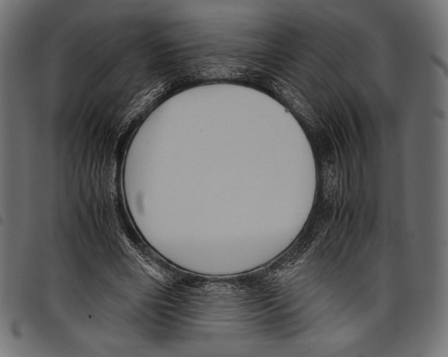 X0000097660490200803280954