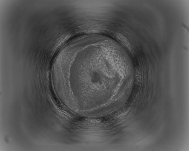 X0000097660491200803280954