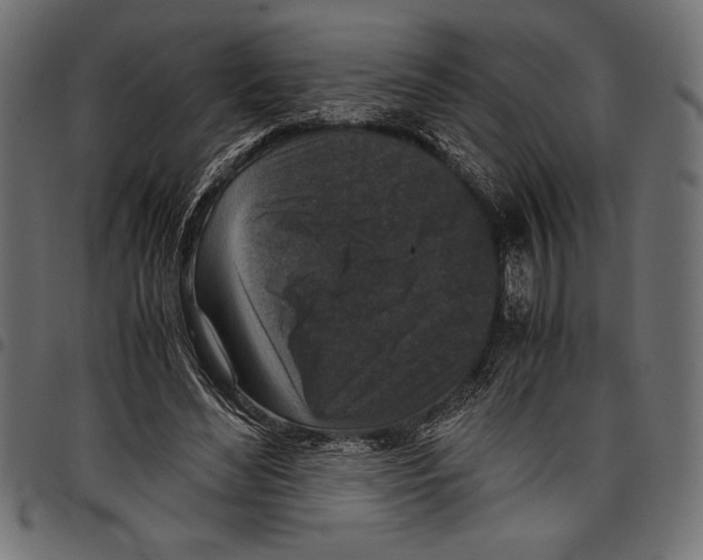 X0000097660492200803280954