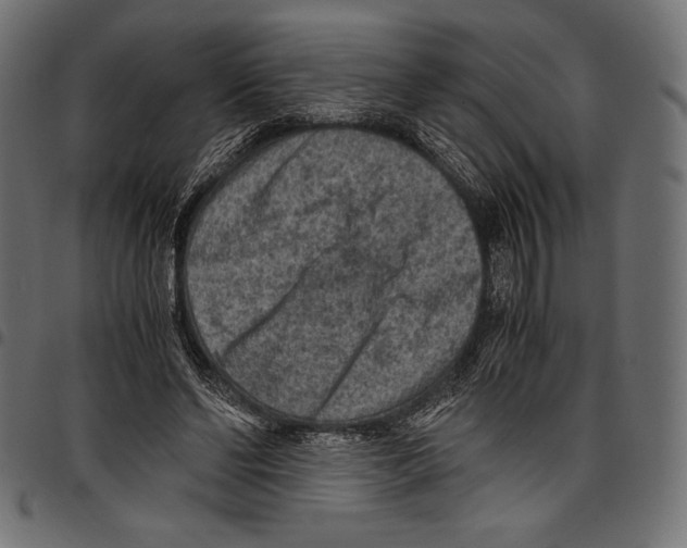 X0000097660494200803280954
