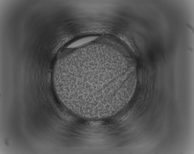 X0000097660495200803280954