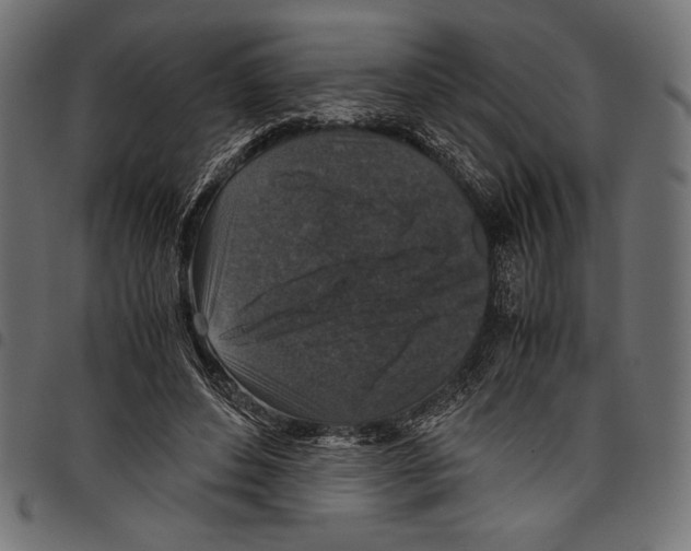X0000097660496200803280954
