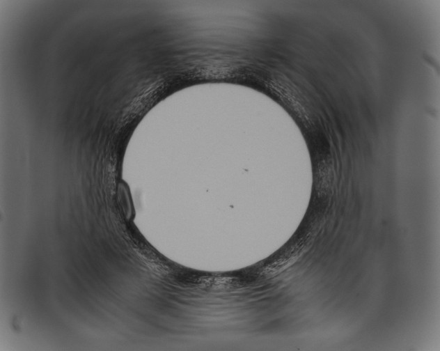 X0000097660497200803280954