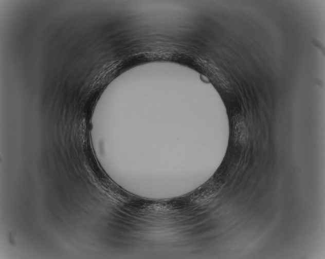 X0000097660498200803280954
