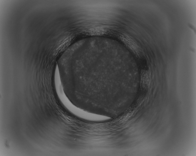 X0000097660501200803280954