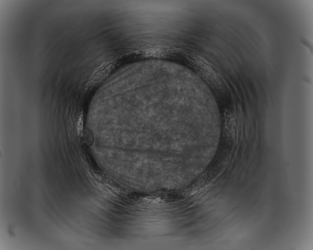 X0000097660502200803280954