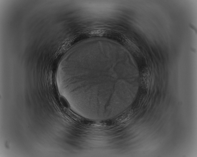 X0000097660504200803280954