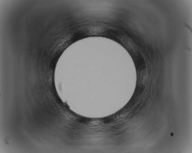 X0000097660505200803280954