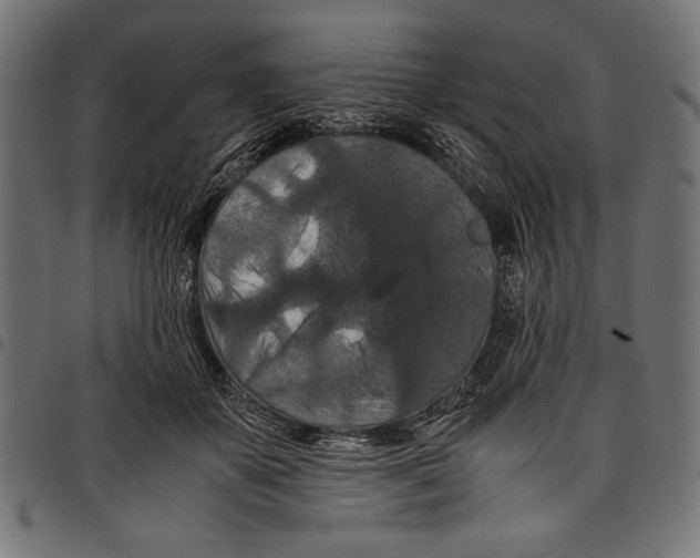 X0000097660507200803280954