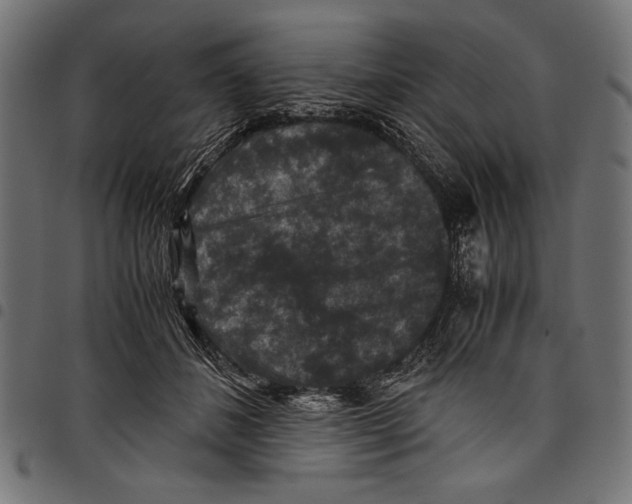X0000097660508200803280954