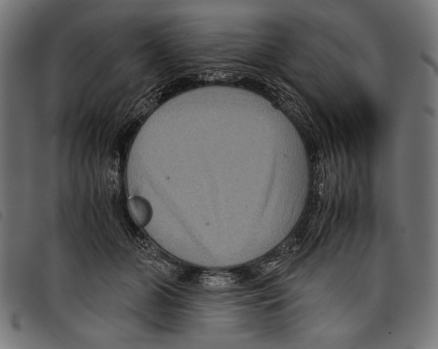X0000097660510200803280954