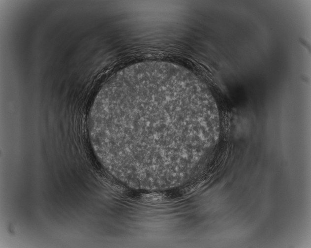 X0000097660511200803280954
