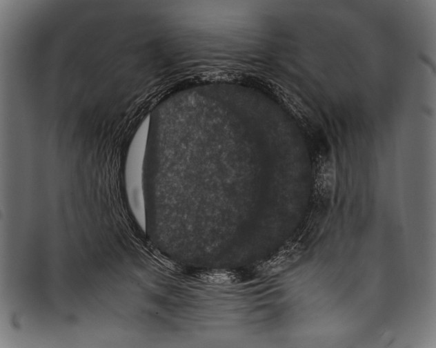 X0000097660513200803280954