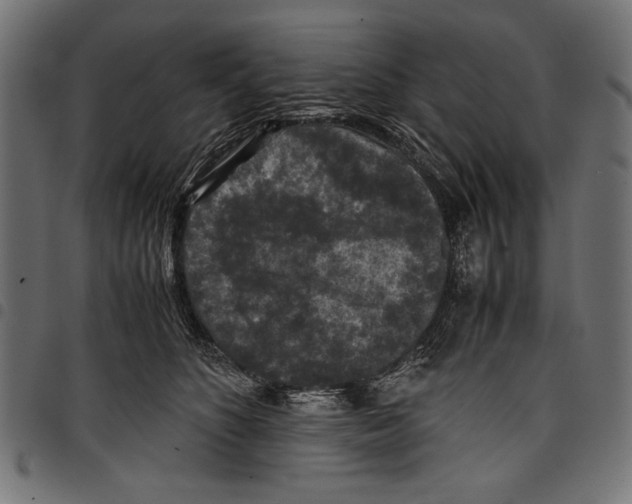 X0000097660516200803280954