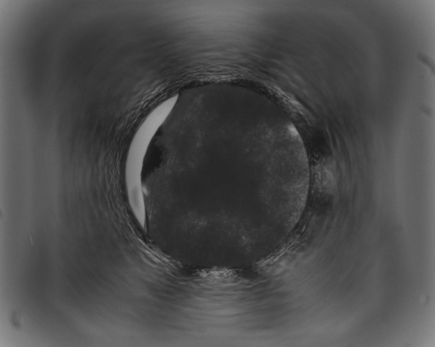 X0000097660517200803280954