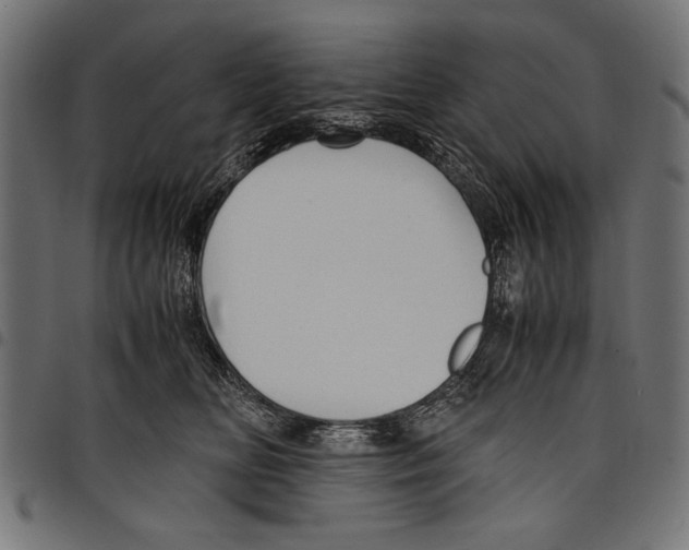 X0000097660518200803280954