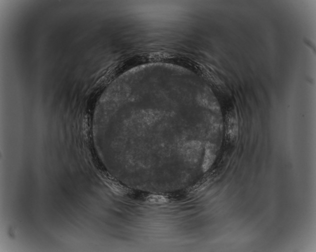 X0000097660519200803280954