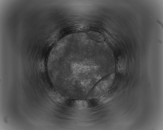X0000097660520200803280954