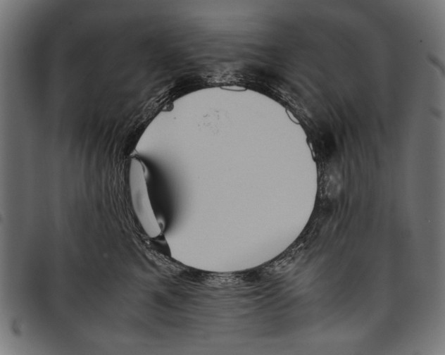 X0000097660521200803280954