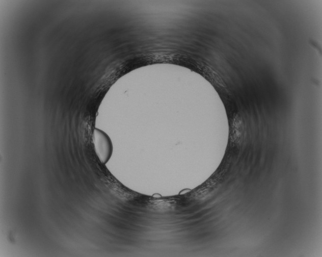 X0000097660522200803280953