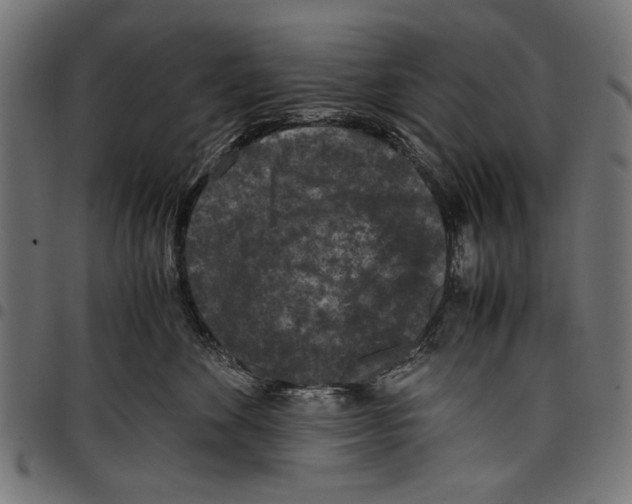 X0000097660524200803280953