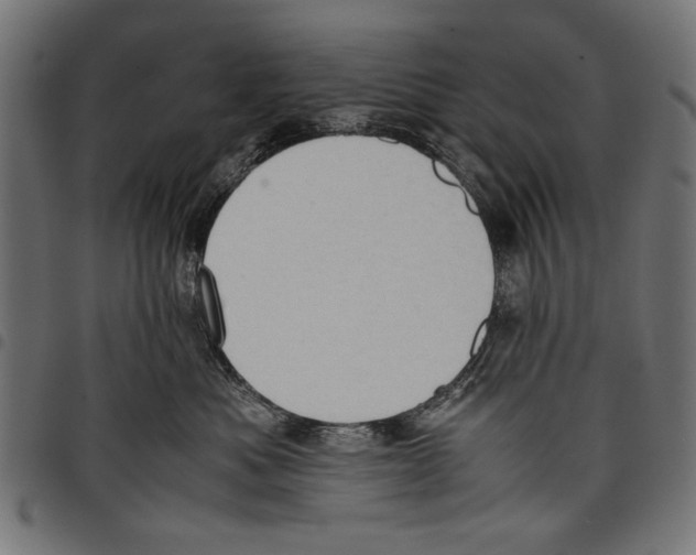 X0000097660525200803280953