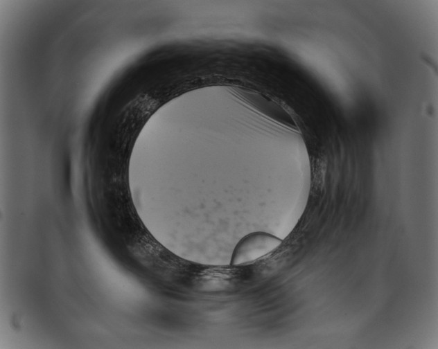 X0000097660526200803280953