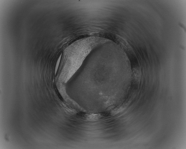 X0000097660527200803280953