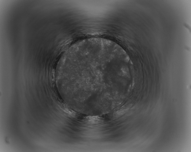 X0000097660528200803280953