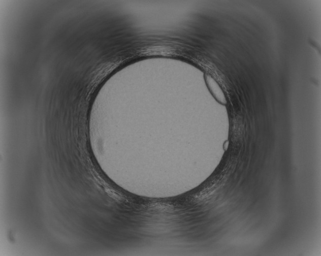 X0000097660529200803280953